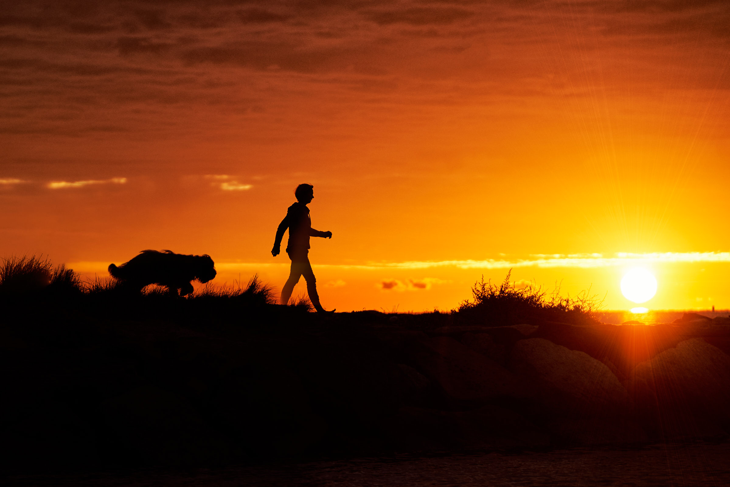 Mensch mit Hund im Sonnenaufgang