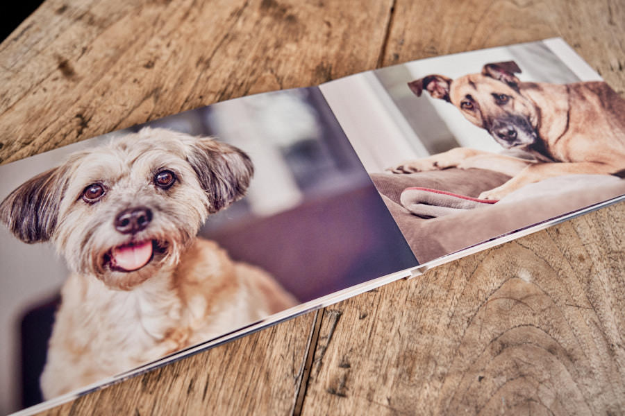 Fotobücher von deinen Hunden